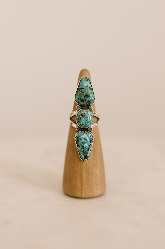 Egyptian Turquoise Ring - Size 9