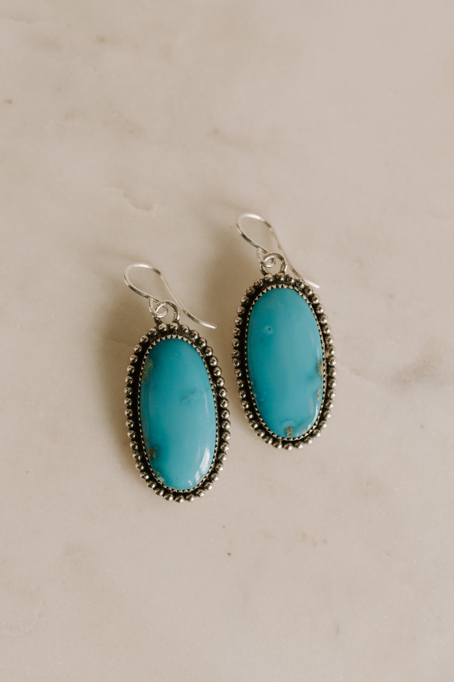 Robin Egg Turquoise Earrings