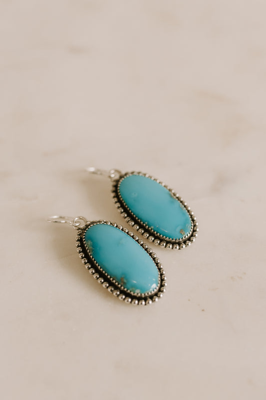 Robin Egg Turquoise Earrings